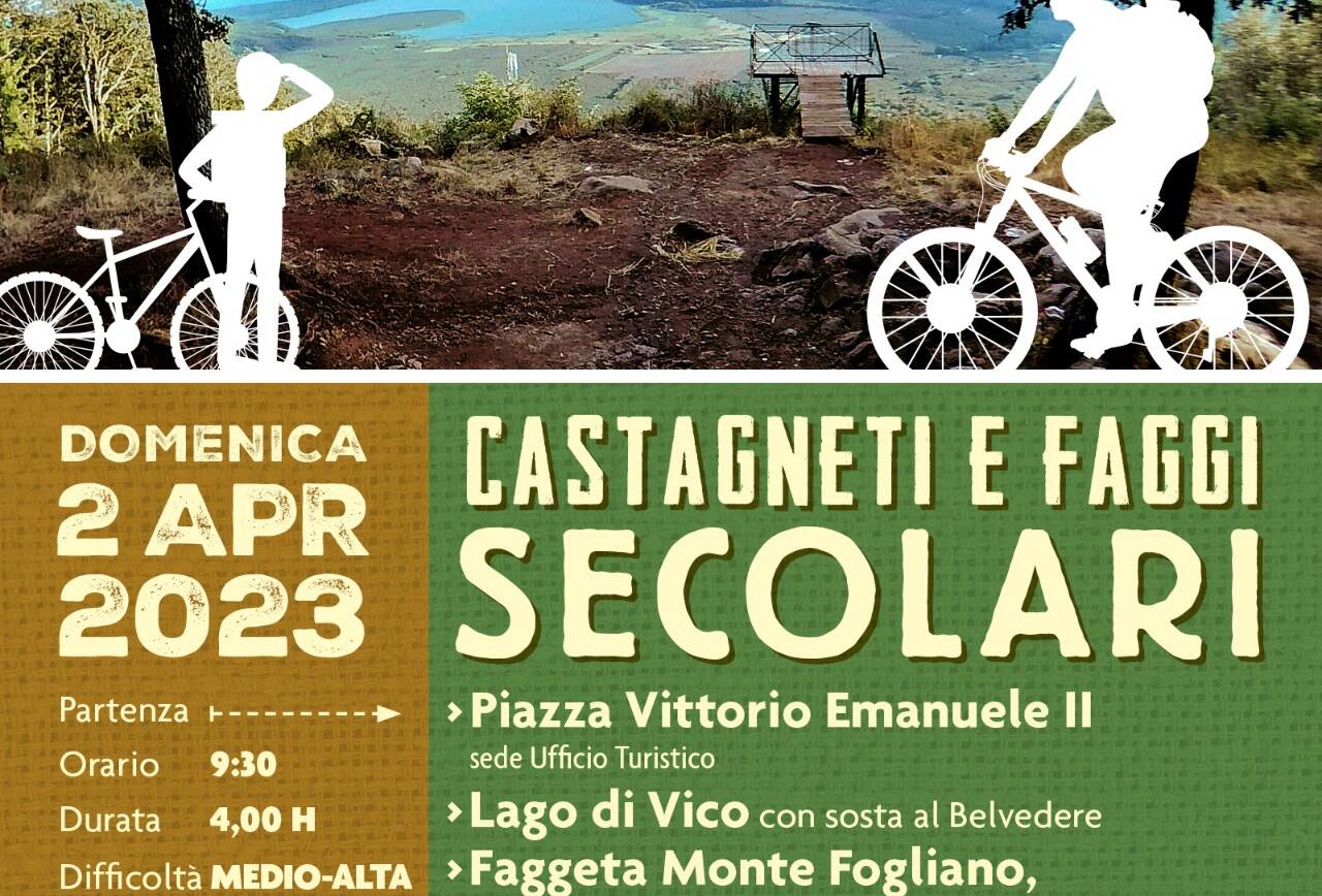 Tour Bike – Castagneti e Faggi secolari