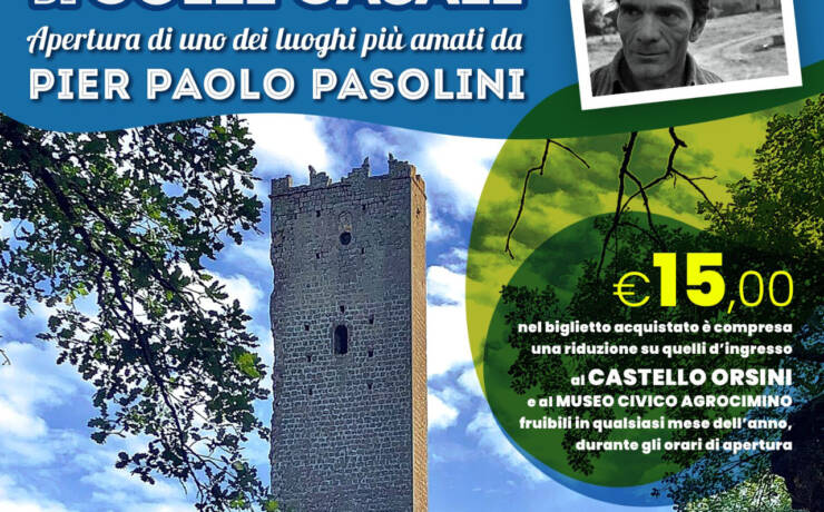 Visita guidata alla Torre di Pasolini