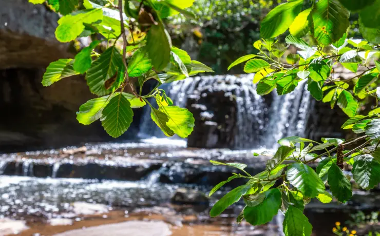 Parco delle Cascate di Chia