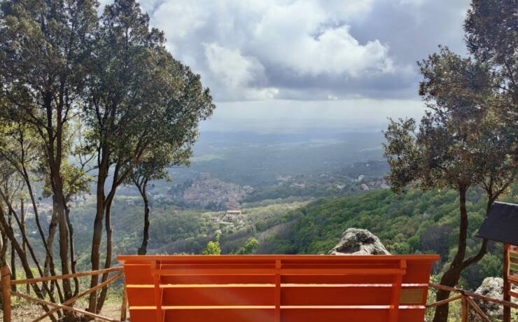 Big Bench n° 331